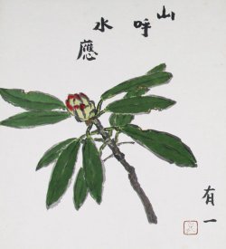 画像1: 森有一画賛色紙「山呼水応」