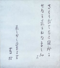 画像1: 島崎藤村色紙幅「さくらをば」