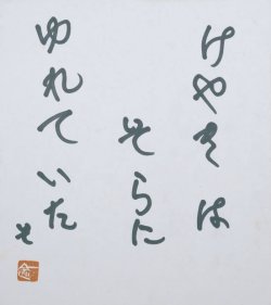 画像1: 曽宮一念色紙「けやきは」