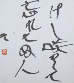 画像1: 曽宮一念色紙「けし咲きて」