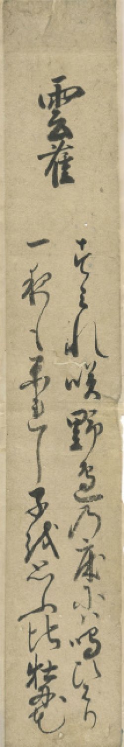 画像1: 牡丹花肖栢短冊「雲雀」