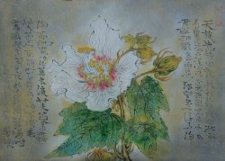 画像1: 三枝茂雄画額「芙蓉」