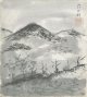 近藤浩一路色紙「山」