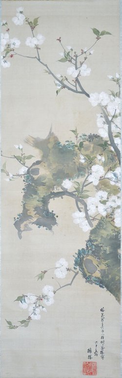 画像1: 酔桜画幅「桐ヶ谷桜」