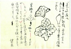 画像1: 杉本健吉絵入書簡