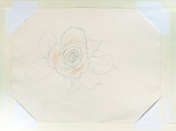 画像1: 奥村土牛素描額「薔薇」