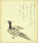 石井鶴三色紙「雷鳥画賛」