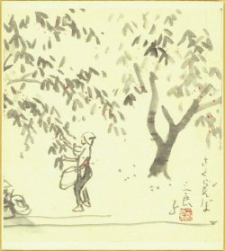 画像1: 酒井三良色紙「さくらんぼ」