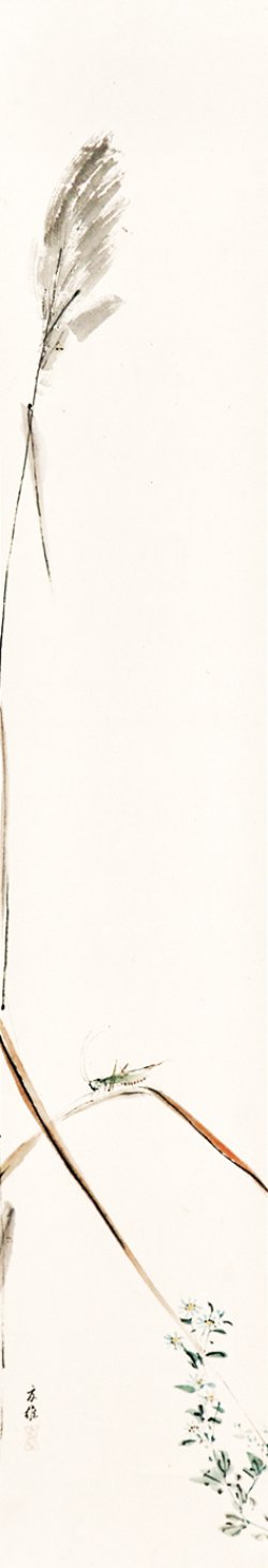 画像1: 加納夏雄画幅「キリギリス」