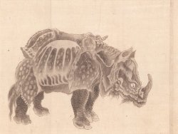 画像1: 象他禽獣画５枚　江戸後期写