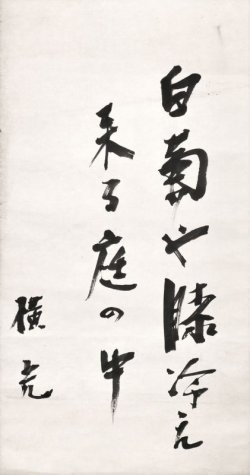 画像1: 横光利一句幅「白菊や」