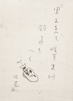 画像1: 金島桂華句画賛幅「里に来て」