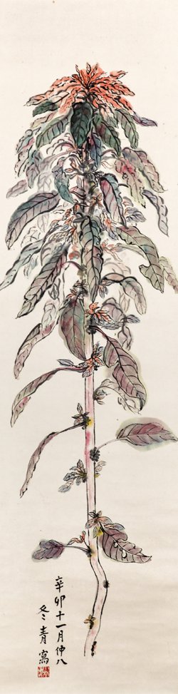 画像1: 冬青小林勇画幅「雁来紅」