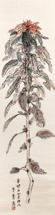 冬青小林勇画幅「雁来紅」
