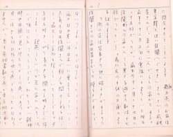 画像1: 中西悟堂草稿
