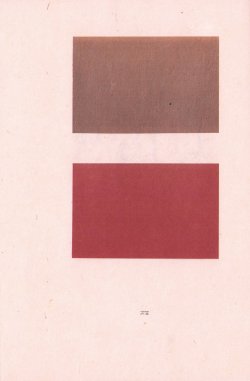 画像1: 和紙の美