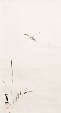 画像1: 山崎朝雲画幅「蜻蛉」