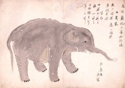 画像1: オランダ２番船持渡三歳象図まくり