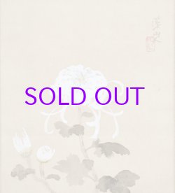 画像1: 冨田渓仙画幅「菊花」