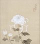 冨田渓仙画幅「菊花」