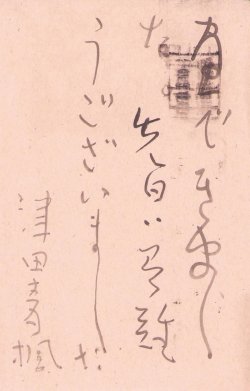 画像1: 津田青楓書簡