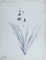 画像: 藤井達吉画マクリ「花卉」