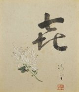 画像: 鏑木清方画額「菊」