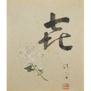 画像: 鏑木清方画額「菊」