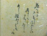 画像: 小松庵花卉記　附野清画漫記