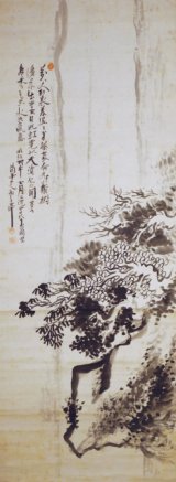 画像: 長井雲坪画賛幅「万丈紅泉図」