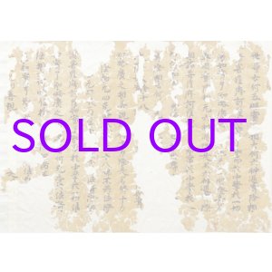 画像: 古経切　虫入　分売