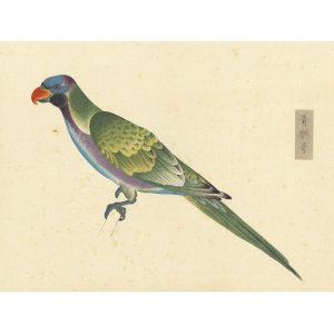 画像: 柳里恭鳥類譜