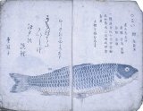 画像: 海の幸　上