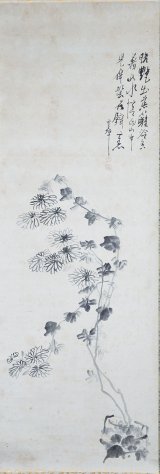 画像: 長井雲坪画賛幅「菊」