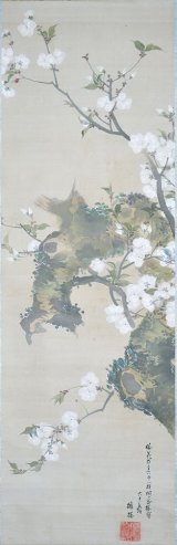 画像: 酔桜画幅「桐ヶ谷桜」