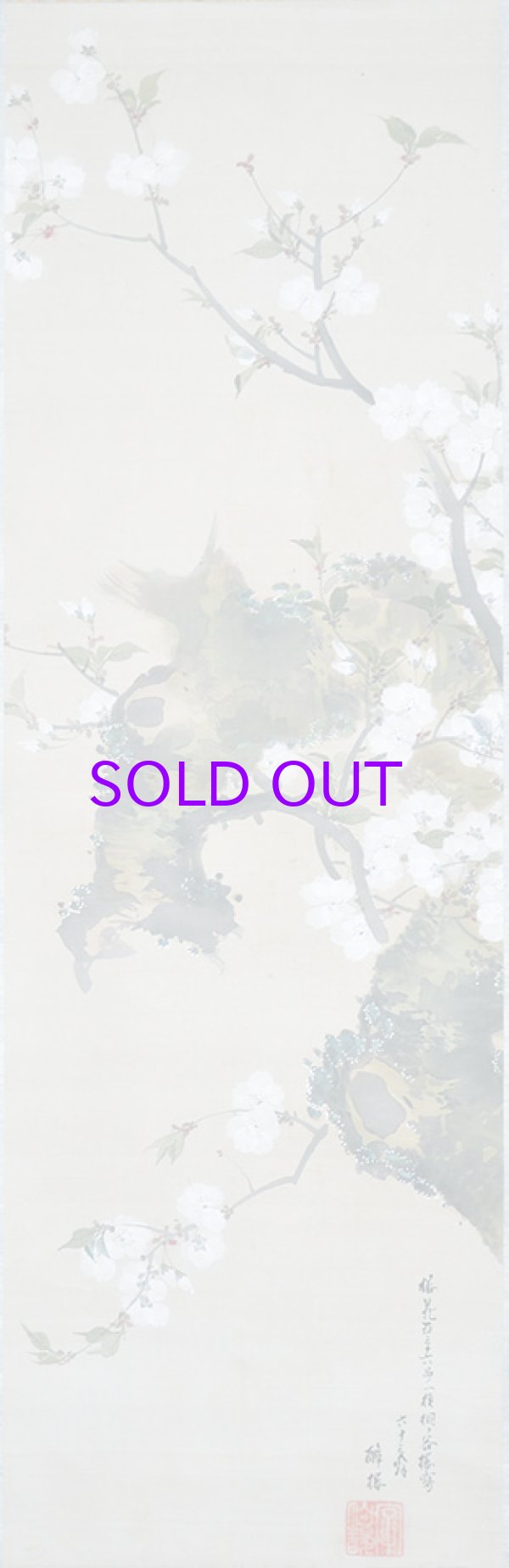 画像1: 酔桜画幅「桐ヶ谷桜」