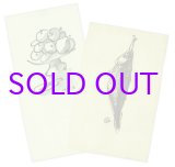 画像: 甲斐仁代カット２枚　魚・果物