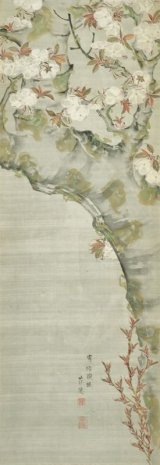 画像: 広瀬花隠画幅「路頭桜」