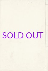 画像: 華陽皮相　上下・原稿　３冊