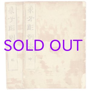 画像: 象牙彫刻法　２冊揃