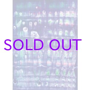 画像: 田中清光デカルコマニー「水界まんだら」