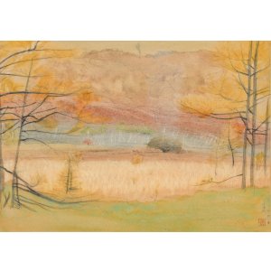 画像: 吉田善彦素描額「日光小田代ヶ原」