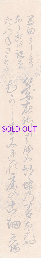 画像: 福原越後短冊「幾夜・・・」