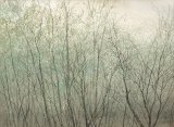画像: 船田玉樹画額「樹林」