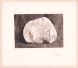 画像: 国後嶋泊村古釜布の刻石写真