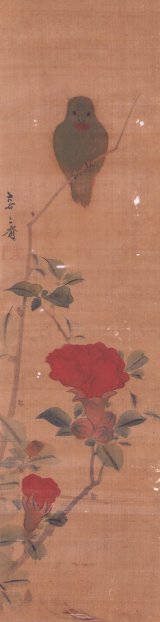 画像: 菊池容斎マクリ「花鳥図」