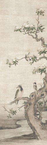 画像: 伝狩野松栄画幅「花鳥図」