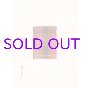 画像: 明治大正　縞時代裂の抄２