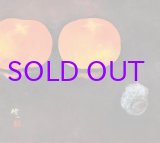 画像: 土屋礼一画額「富有柿」