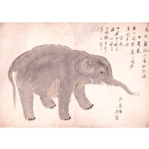 画像: オランダ２番船持渡三歳象図まくり